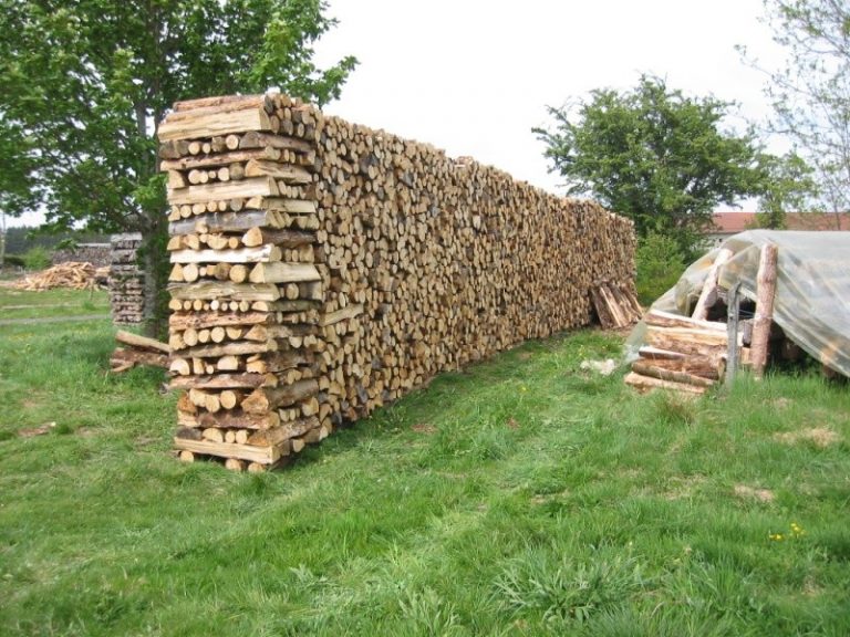 La gestion du bois de chauffage — free download